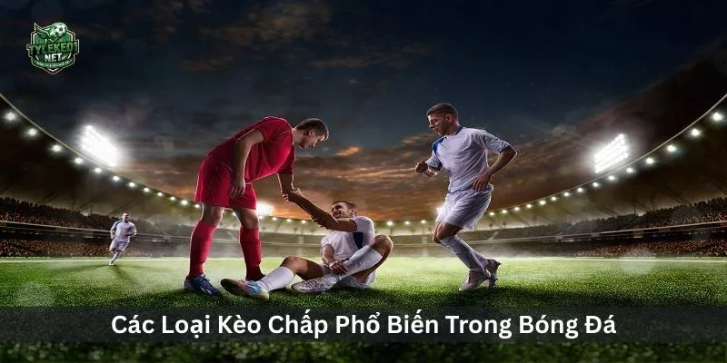 Các Loại Kèo Chấp Phổ Biến Trong Bóng Đá