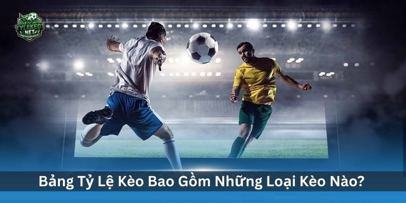 C&aacute;ch Đọc Bảng Tỷ Lệ K&egrave;o Nh&agrave; C&aacute;i Ch&iacute;nh X&aacute;c